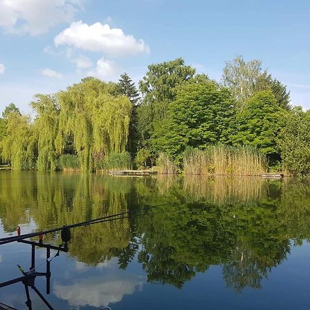 Boglarka Horgasznyaralo Villa Gyomaendrod Bagian luar foto