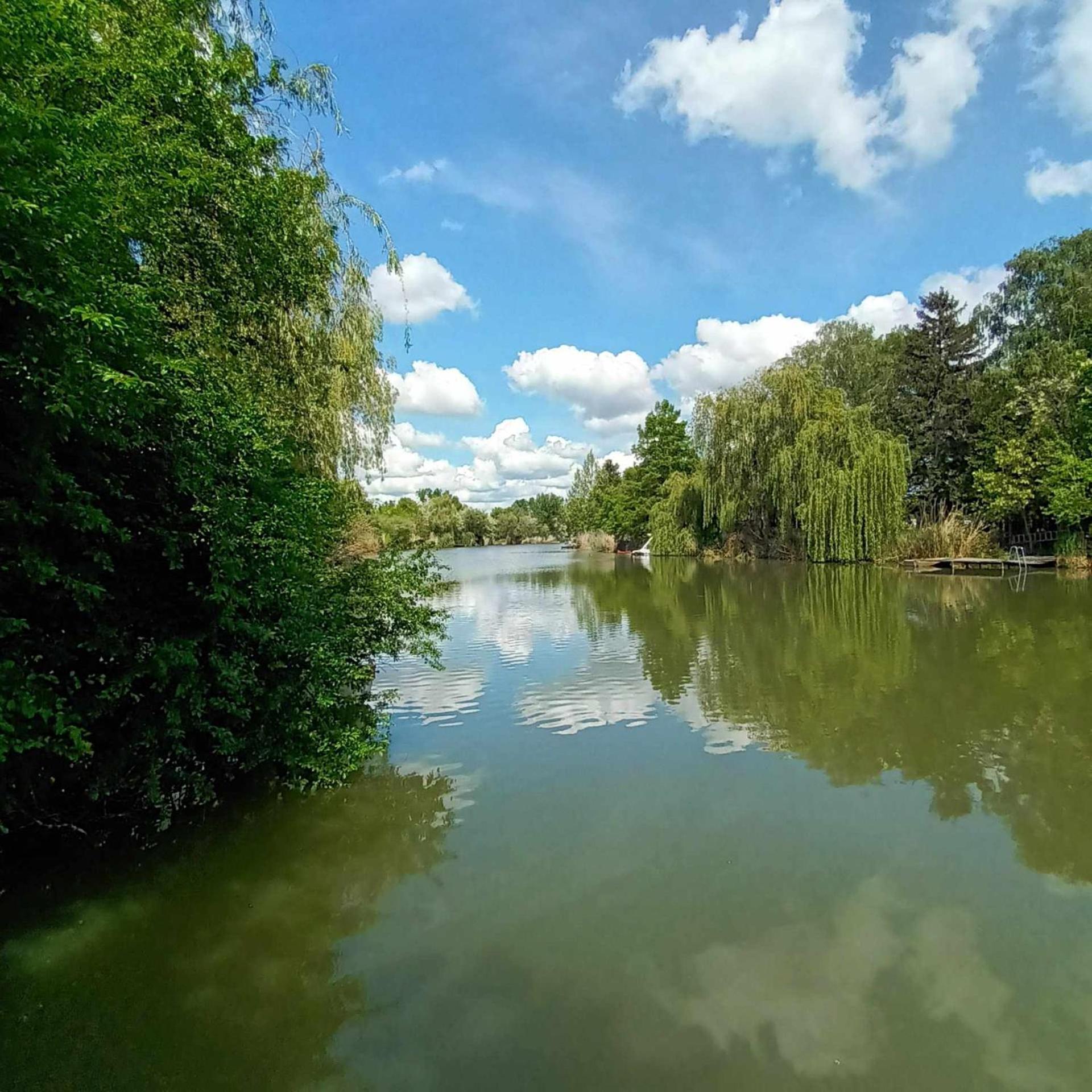 Boglarka Horgasznyaralo Villa Gyomaendrod Bagian luar foto